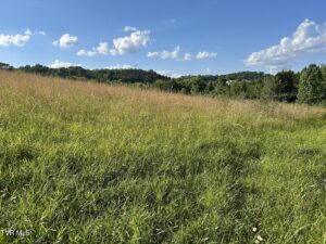 Property photo for land for sale in Hawkins County Tennessee