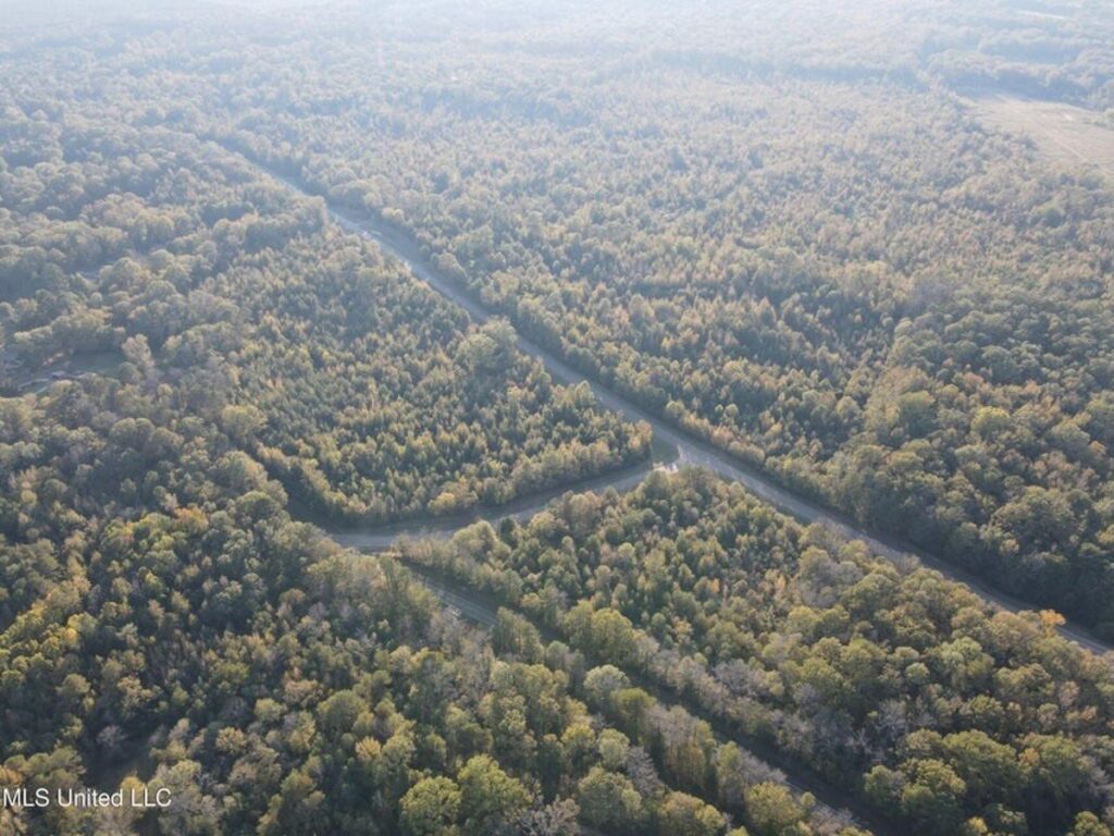 00345010-29e4-4fa5-a78c-e0312bd3a2a3.jpeg
