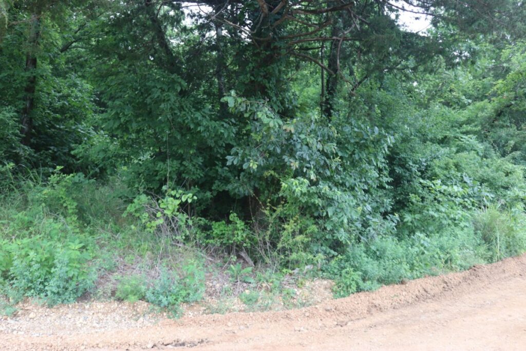 Property photo for land for sale in Stone County Arkansas