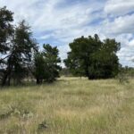 Property photo for land for sale in Brown County Texas