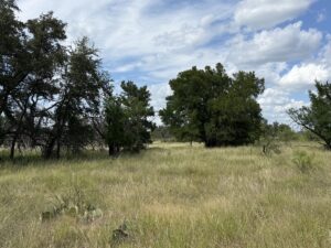 Property photo for land for sale in Brown County Texas