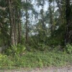 Property photo for land for sale in Dixie County Florida