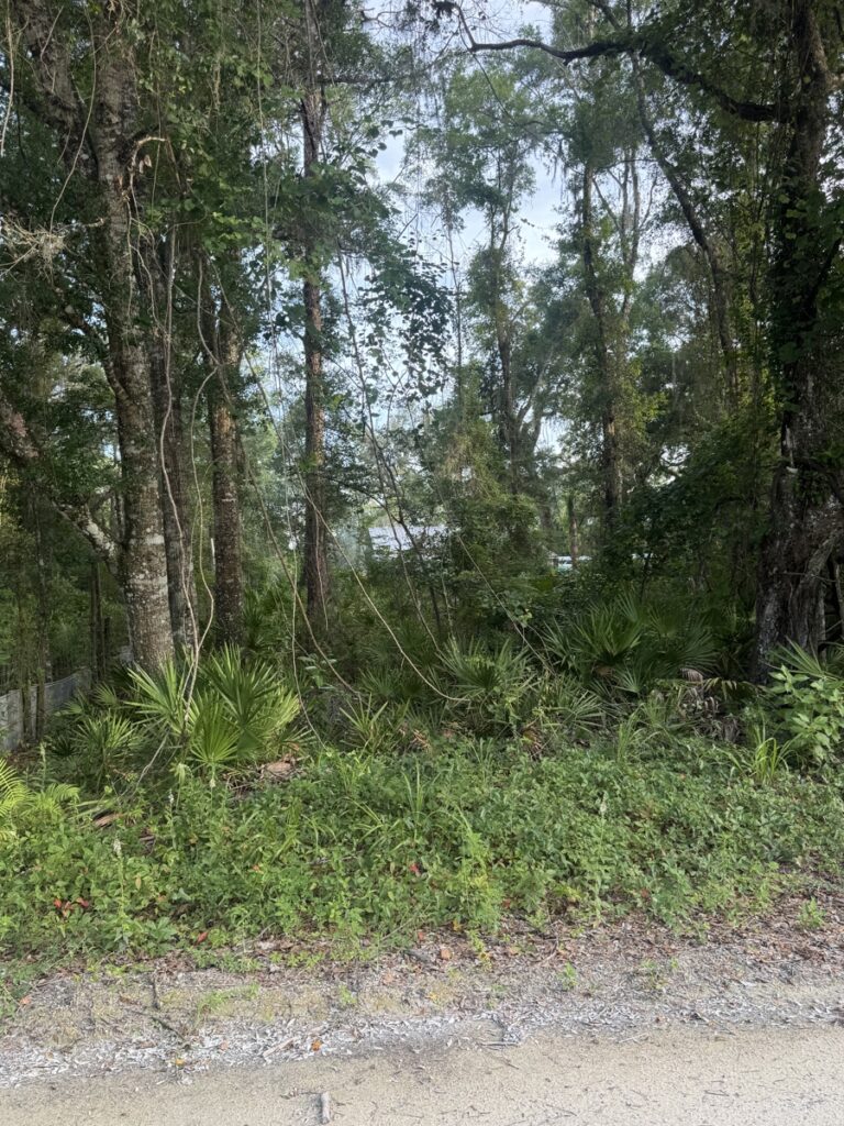Property photo for land for sale in Dixie County Florida