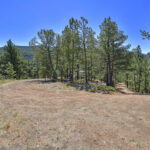 Property photo for land for sale in Teller County Colorado
