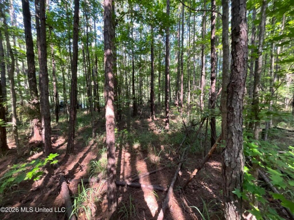 Property photo for land for sale in Amite County Mississippi