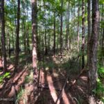 Property photo for land for sale in Amite County Mississippi