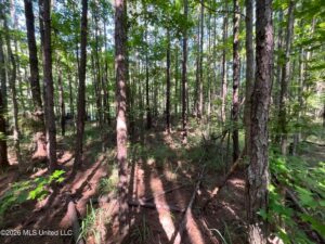 Property photo for land for sale in Amite County Mississippi