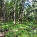 Property photo for land for sale in  County Virginia