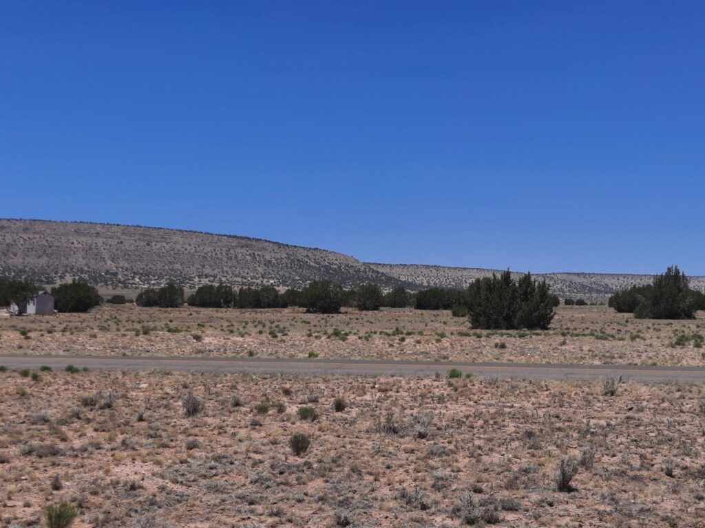 04e3488d-067c-44c6-99b9-73263766e25b.jpg