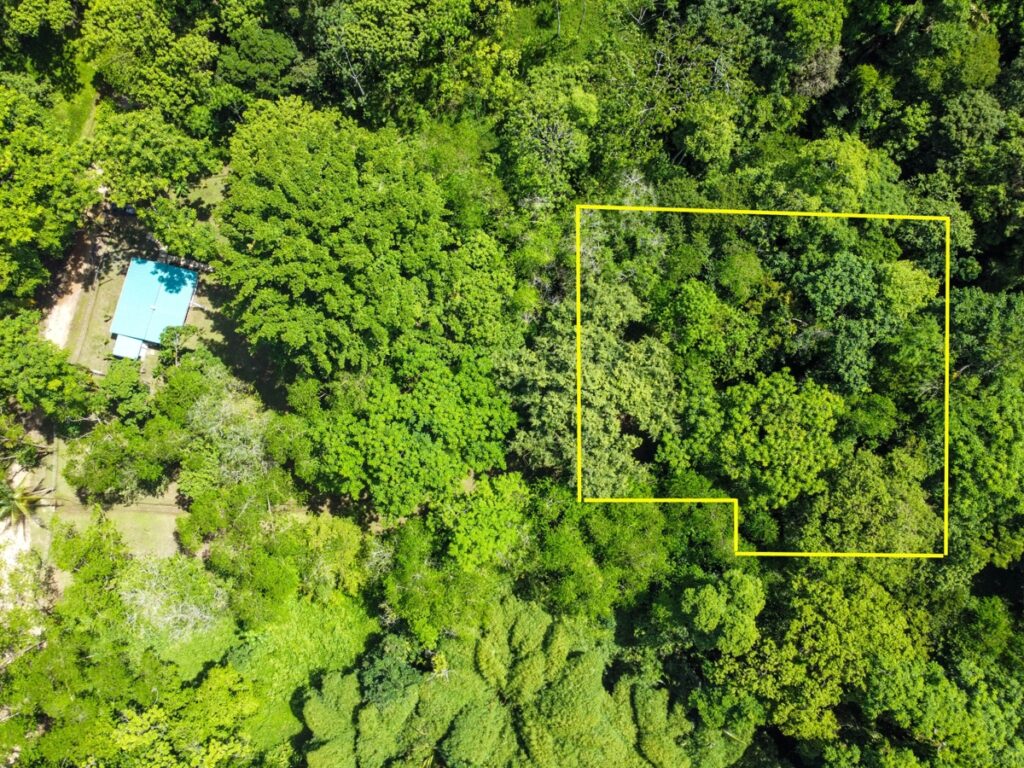 0810ed96-b900-410b-b861-00b148cd9e33.jpg