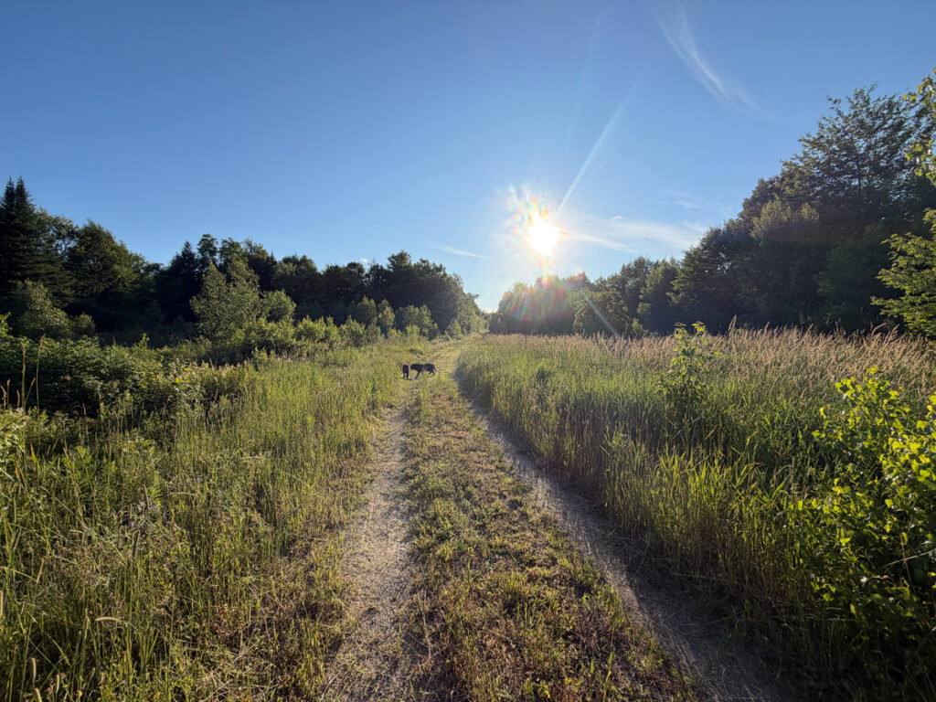 084d53a9-054e-43ed-b145-bc313bc4ccf5.jpg