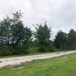 Property photo for land for sale in Ozark County Missouri