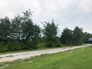 Property photo for land for sale in Ozark County Missouri