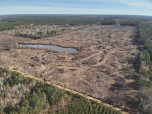 Property photo for land for sale in Calhoun County Arkansas