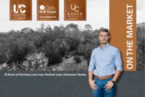 Property photo for land for sale in Fulton County Arkansas