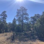 Property photo for land for sale in Rio Arriba County New Mexico