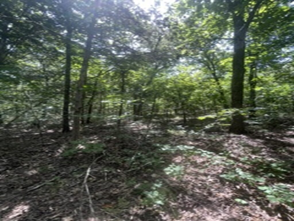 0ad70d3d-50f4-4f30-9297-b70609e8a22e.jpg