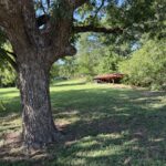 Property photo for land for sale in Eastland County Texas
