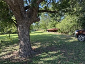 Property photo for land for sale in Eastland County Texas
