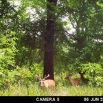 Property photo for land for sale in Atoka County Oklahoma