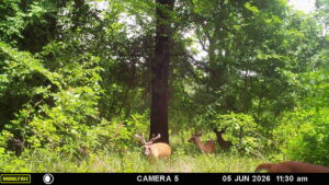 Property photo for land for sale in Atoka County Oklahoma