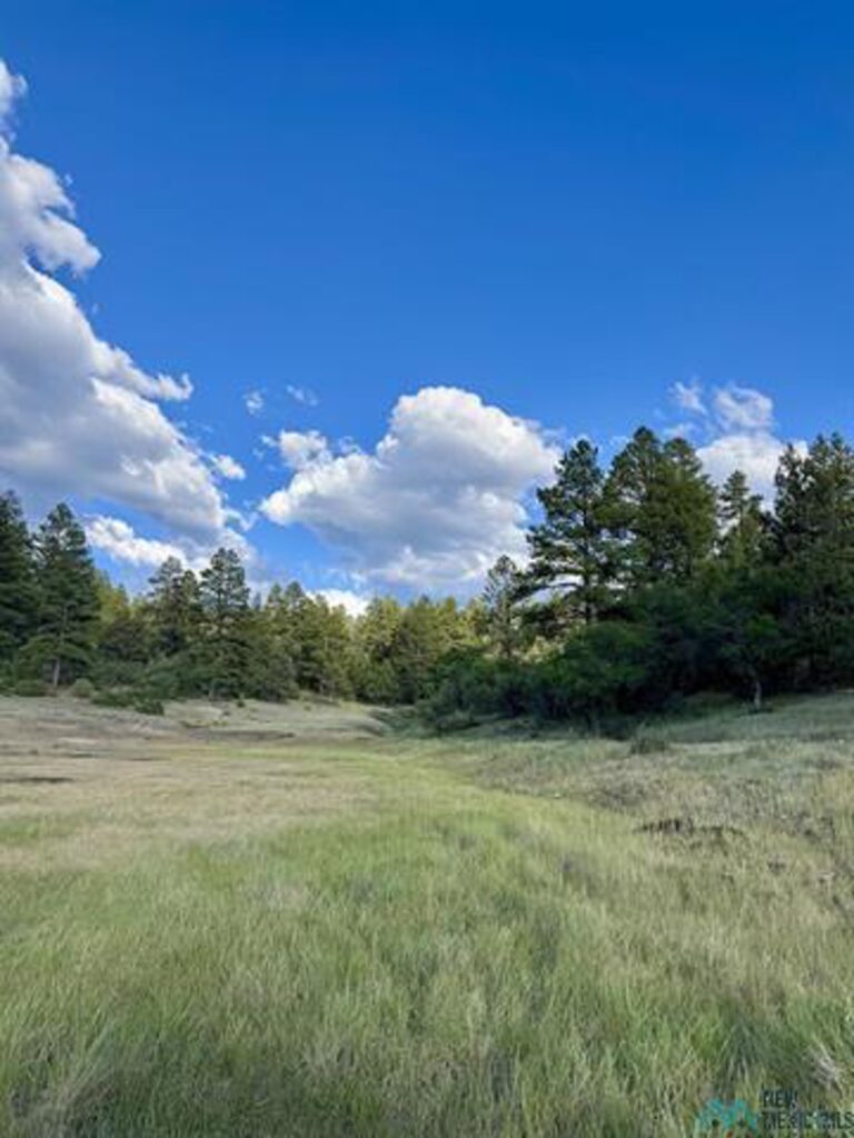 Property photo for land for sale in Rio Arriba County New Mexico