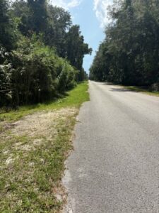 Property photo for land for sale in Levy County Florida