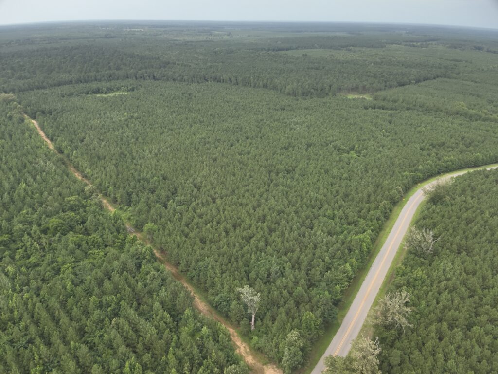 13395e3c-42e0-47b1-b405-b6c281fe06f0.jpg