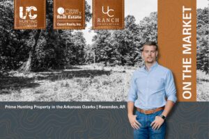 Property photo for land for sale in Randolph County Arkansas