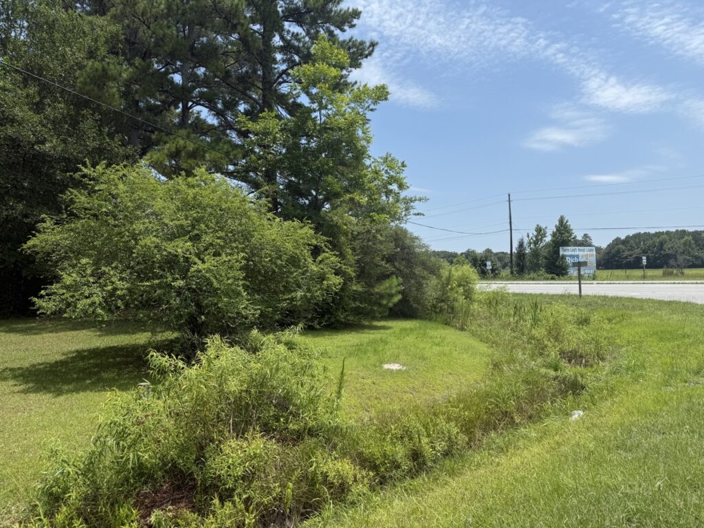 15431893-e18a-4643-aaeb-56a4ca29cf58.jpg