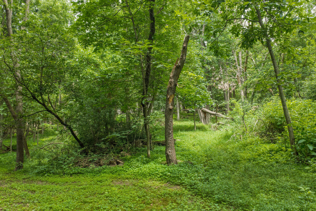 156a6588-af79-44a6-b310-f64297fcecb8.jpg