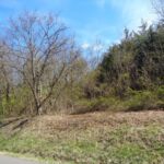 Property photo for land for sale in Hamblen County Tennessee