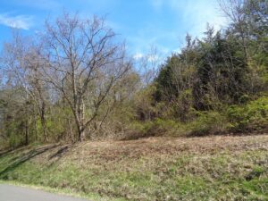 Property photo for land for sale in Hamblen County Tennessee