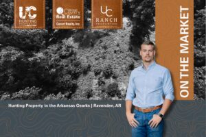 Property photo for land for sale in Randolph County Arkansas