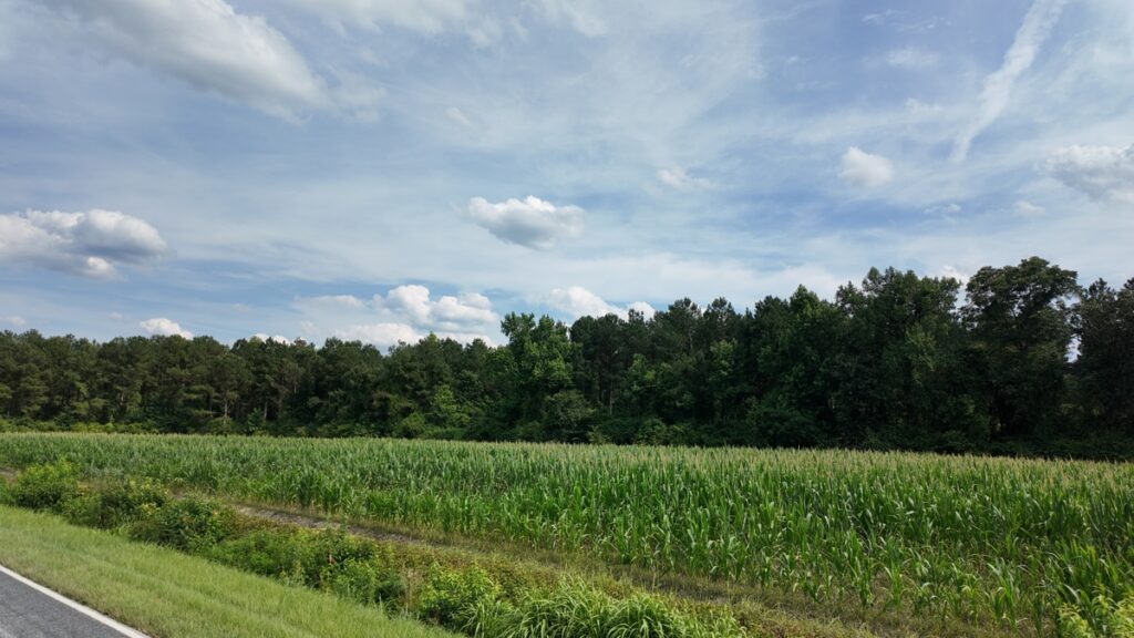 15b74408-c596-4200-88c9-f9d9653e0826.jpg