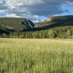 Property photo for land for sale in Rio Arriba County New Mexico
