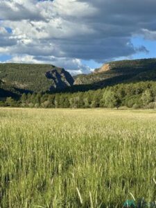 Property photo for land for sale in Rio Arriba County New Mexico