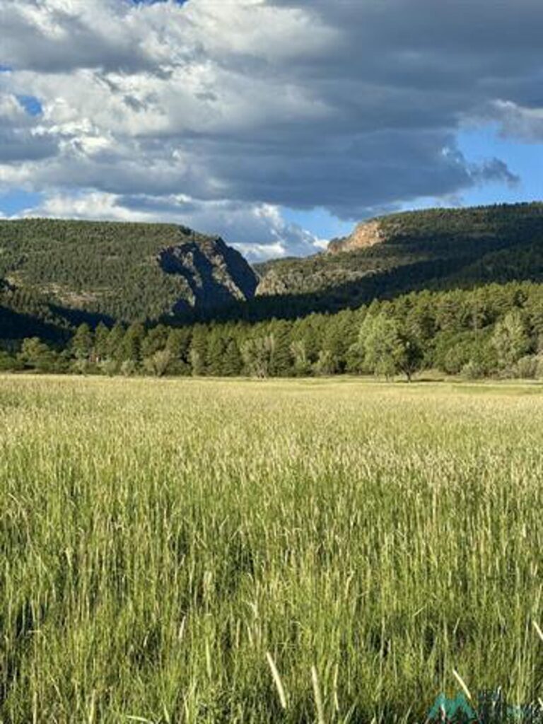 Property photo for land for sale in Rio Arriba County New Mexico