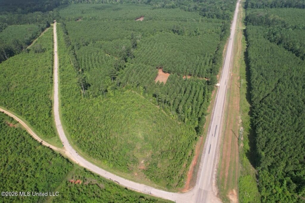 Property photo for land for sale in St. Helena County Louisiana