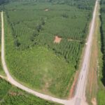 Property photo for land for sale in St. Helena County Louisiana