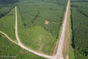 Property photo for land for sale in St. Helena County Louisiana