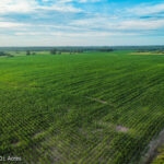 Property photo for land for sale in Lucas County Iowa