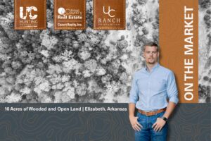 Property photo for land for sale in Fulton County Arkansas