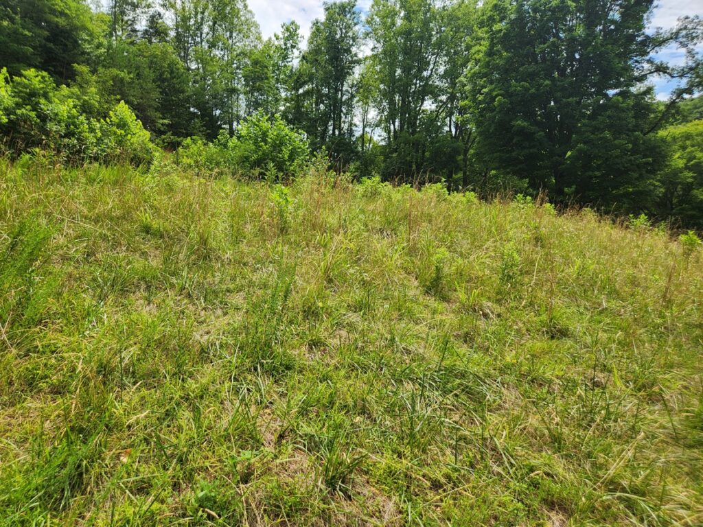 Property photo for land for sale in Franklin County Virginia