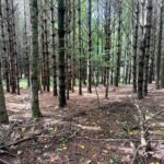 Property photo for land for sale in  County Virginia