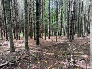 Property photo for land for sale in  County Virginia