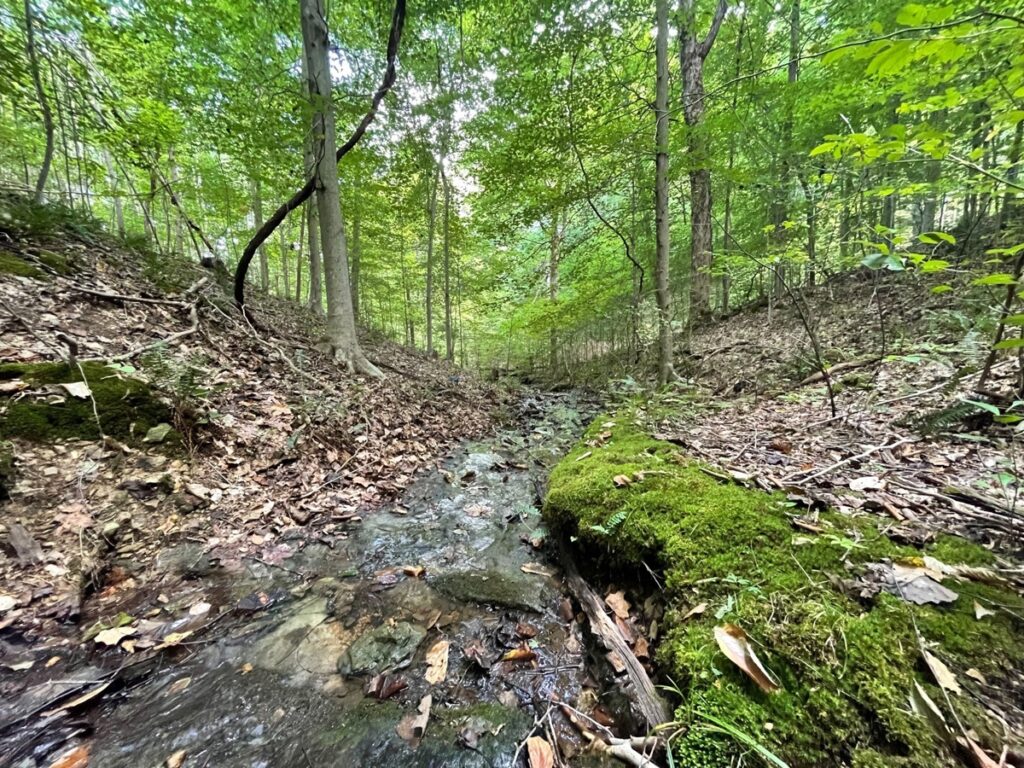 Property photo for land for sale in Maury County Tennessee
