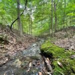 Property photo for land for sale in Maury County Tennessee