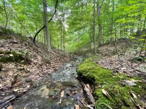 Property photo for land for sale in Maury County Tennessee