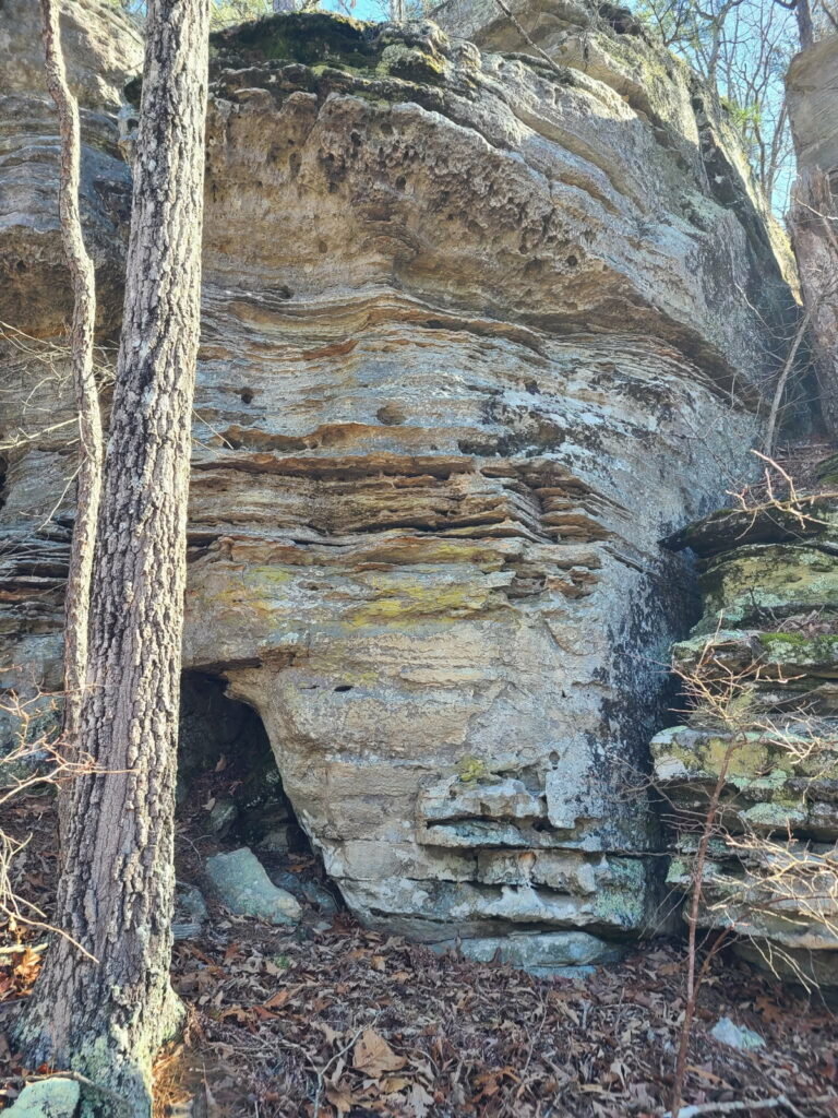 1bfe2ed2-dff0-4314-bea2-95c9ab64b970.jpg